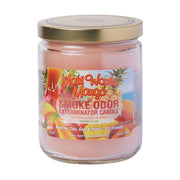 Smoke Odor Exterminator Candle
