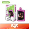 RAZ LTX 25k Disposable